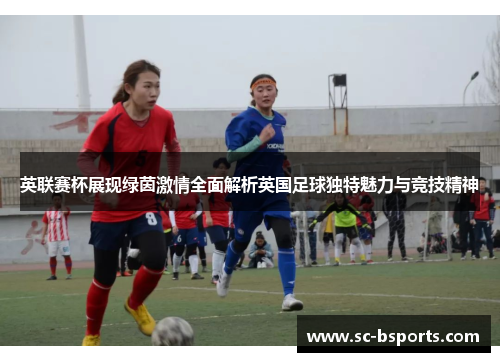 英联赛杯展现绿茵激情全面解析英国足球独特魅力与竞技精神 英联赛杯展现绿茵激情全面解析英国足球独特魅力与竞技精神