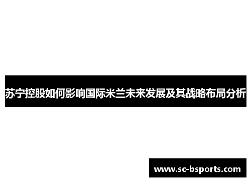 苏宁控股如何影响国际米兰未来发展及其战略布局分析